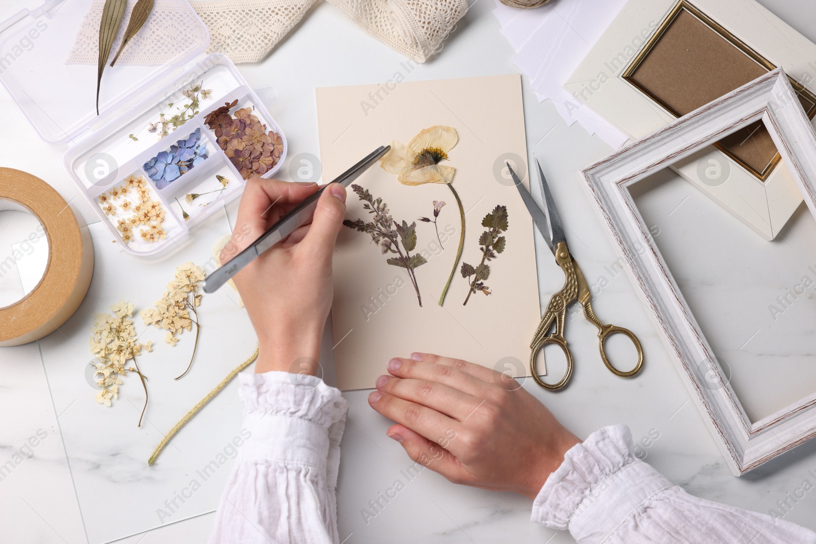 Woman putting dry flowers onto paper sheet at white marble table, top view Photo of Woman putting dry flowers onto paper sheet at white marble table, top view