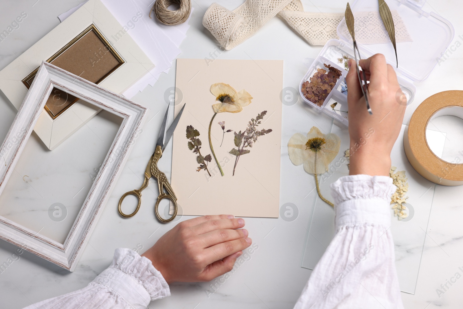 Woman putting dry flowers onto paper sheet at white marble table, top view Photo of Woman putting dry flowers onto paper sheet at white marble table, top view