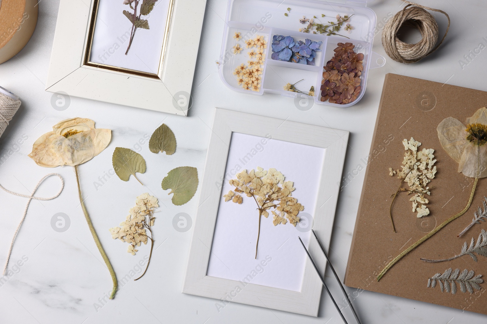 Photo of Flat lay composition with dry flowers and picture frames on white marble table