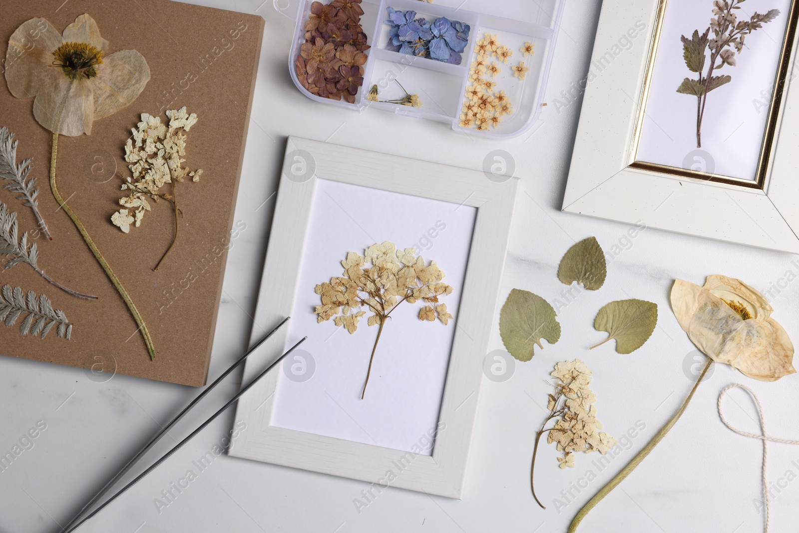 Photo of Flat lay composition with dry flowers and picture frames on white marble table