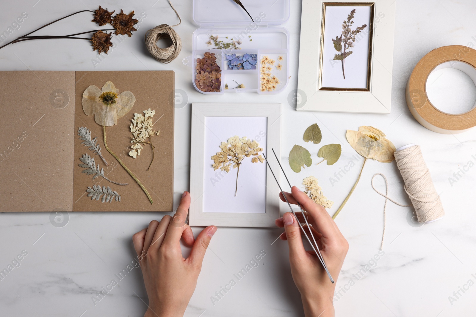 Woman putting dry flowers into picture frame at white marble table, top view Photo of Woman putting dry flowers into picture frame at white marble table, top view