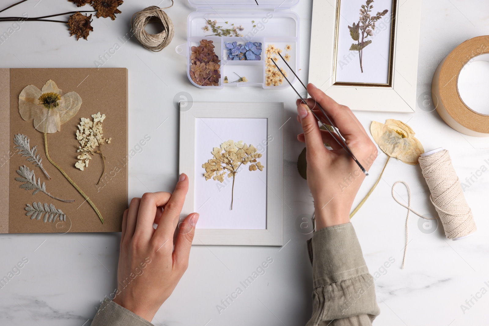 Woman putting dry flowers into picture frame at white marble table, top view Photo of Woman putting dry flowers into picture frame at white marble table, top view