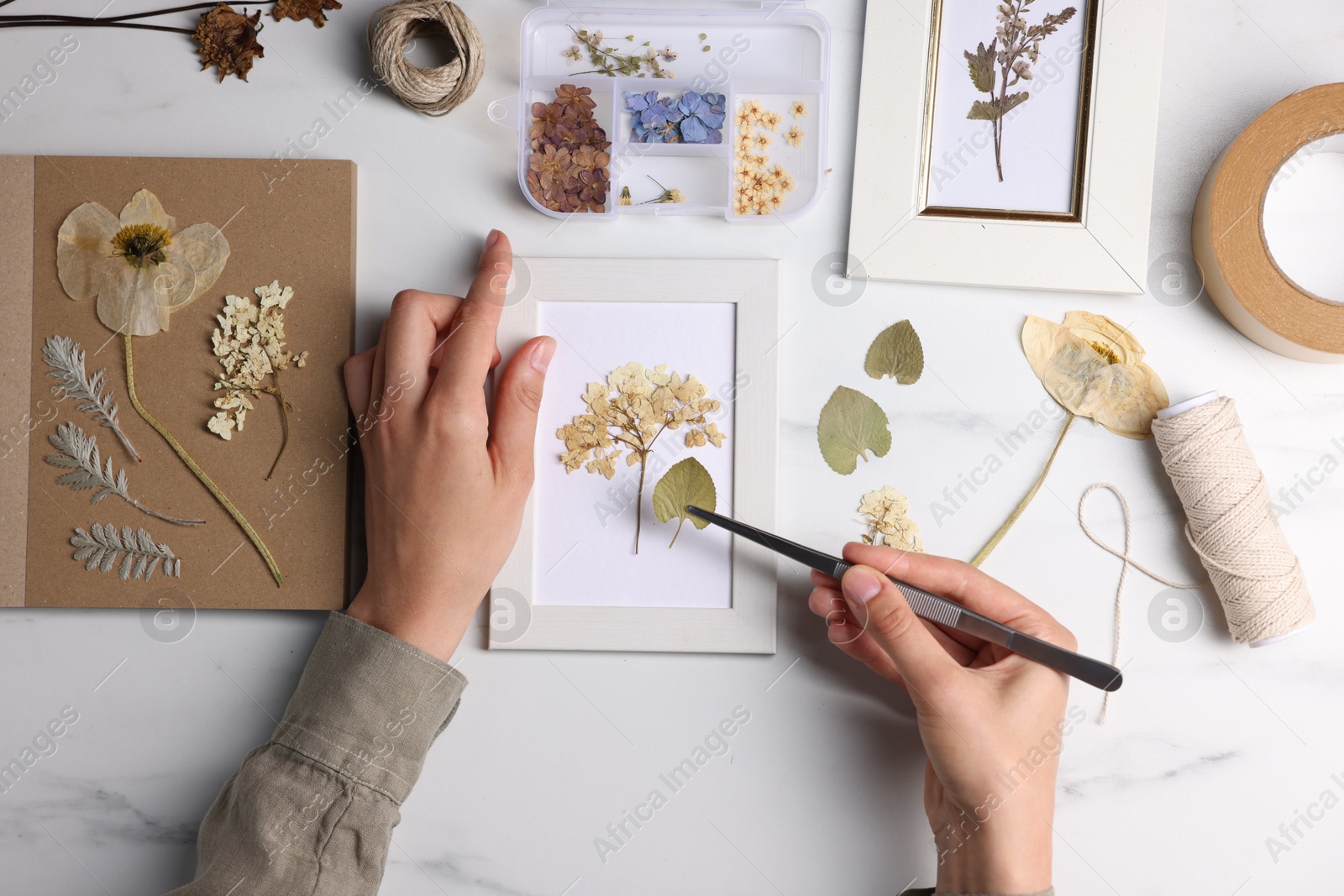Woman putting dry flowers into picture frame at white marble table, top view Photo of Woman putting dry flowers into picture frame at white marble table, top view