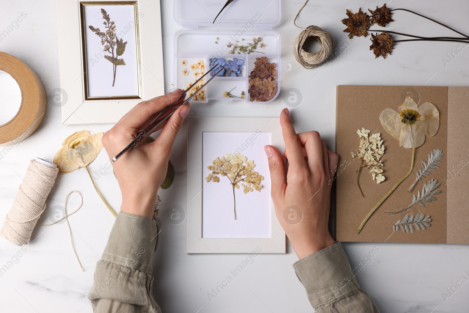 Woman putting dry flowers into picture frame at white marble table, top view Photo of Woman putting dry flowers into picture frame at white marble table, top view