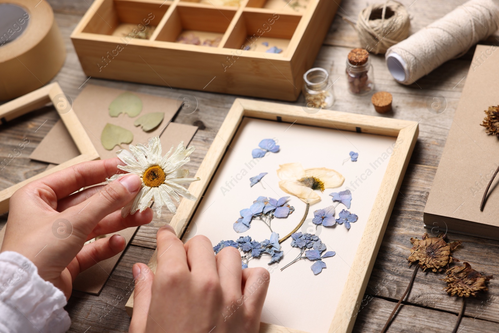 Woman putting dry flowers into picture frame at wooden table, closeup Photo of Woman putting dry flowers into picture frame at wooden table, closeup