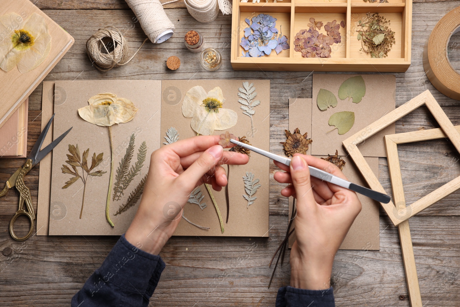 Woman putting dry flowers into notebook at wooden table, top view Photo of Woman putting dry flowers into notebook at wooden table, top view