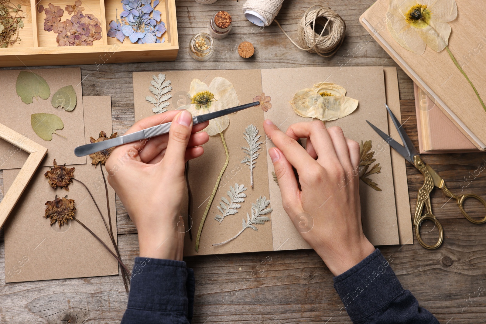 Woman putting dry flowers into notebook at wooden table, top view Photo of Woman putting dry flowers into notebook at wooden table, top view