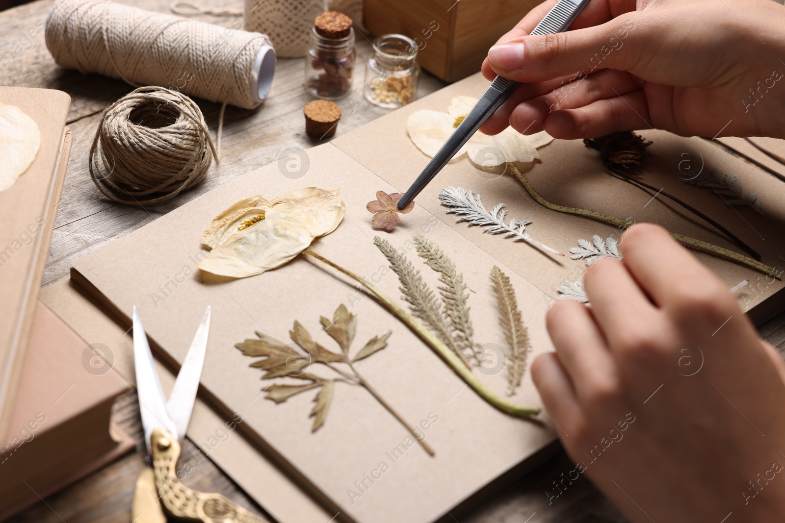 Woman putting dry flowers into notebook at wooden table, closeup Photo of Woman putting dry flowers into notebook at wooden table, closeup