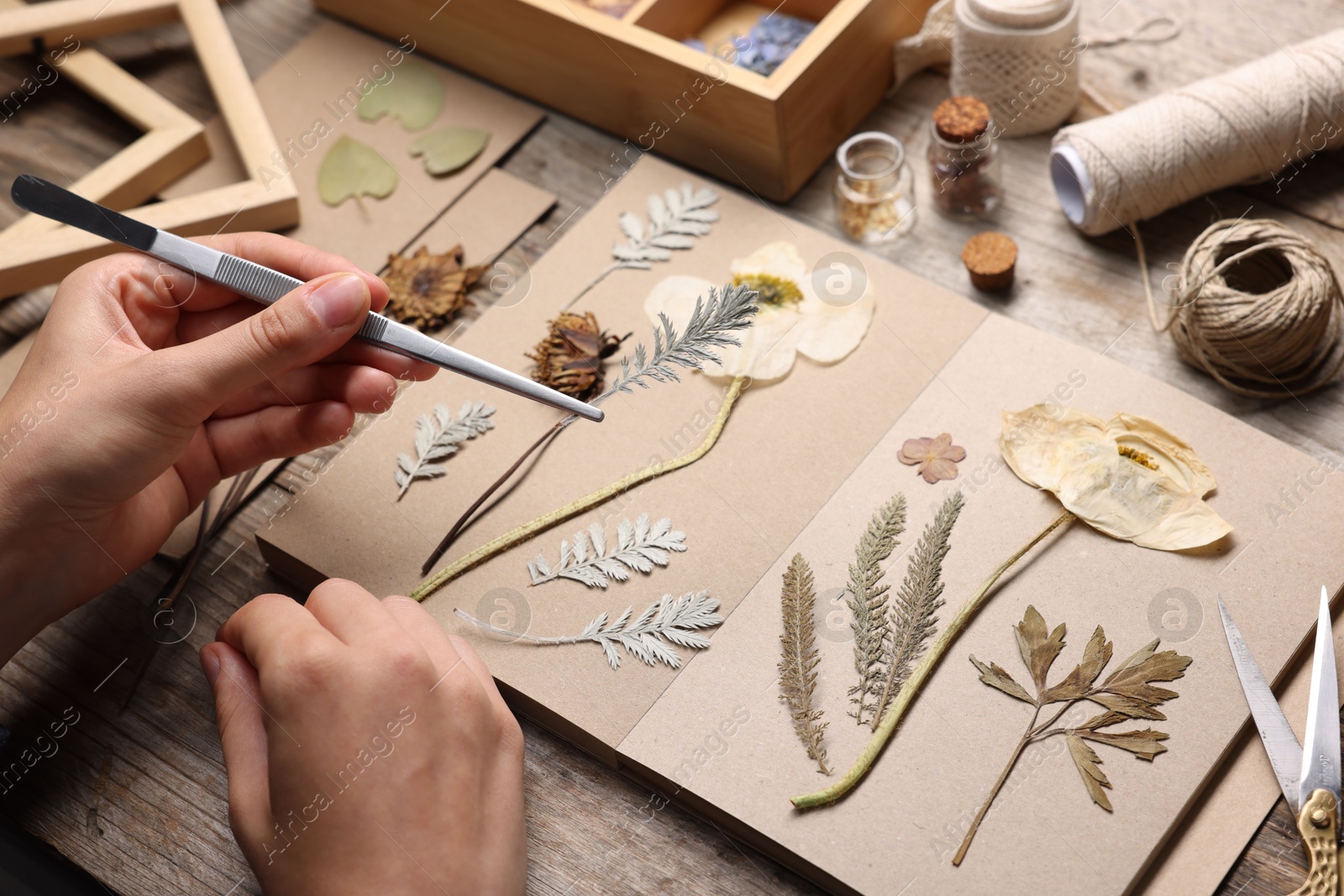 Woman putting dry flowers into notebook at wooden table, closeup Photo of Woman putting dry flowers into notebook at wooden table, closeup