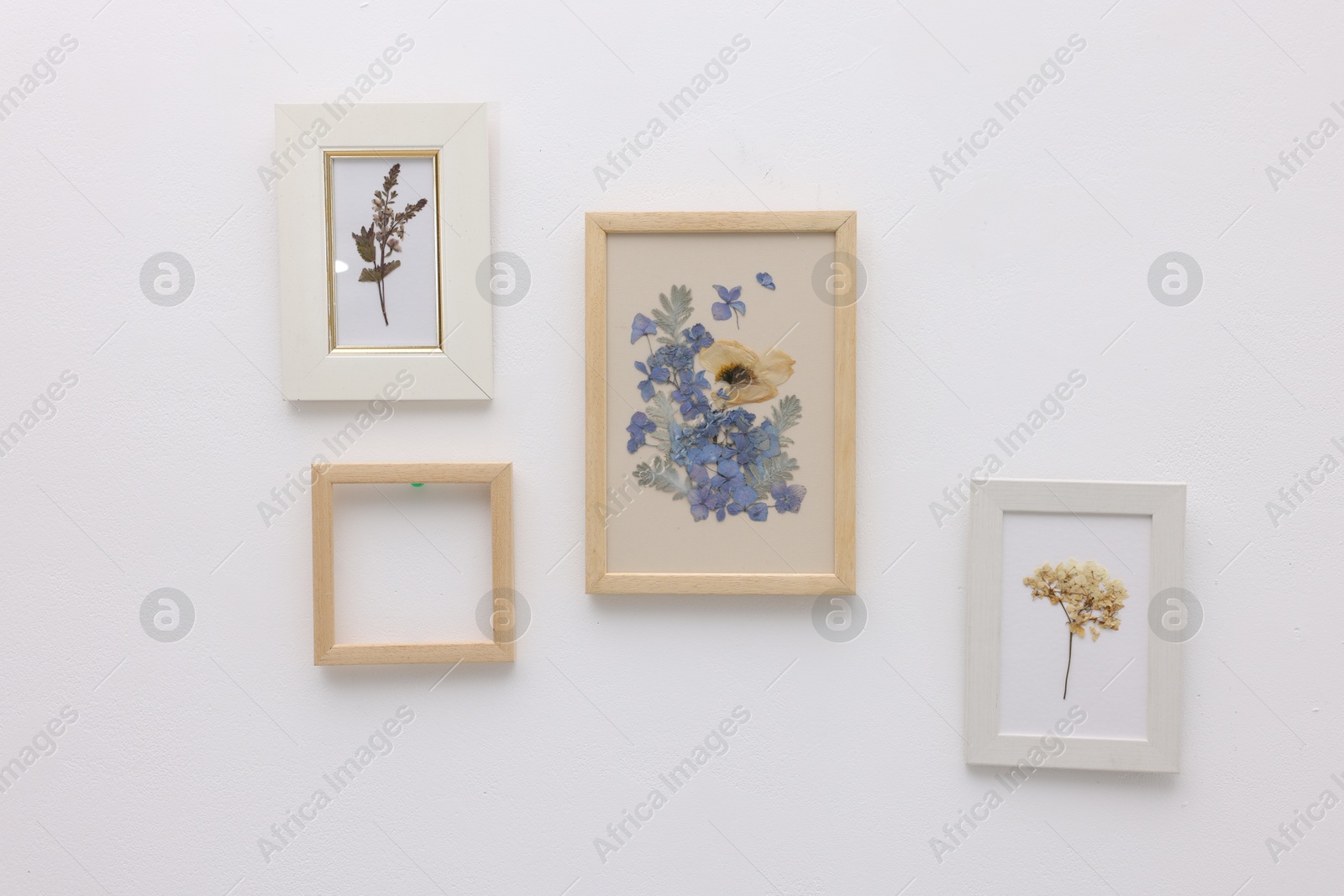 Beautiful dry flowers and leaves in picture frames on white wall Photo of Beautiful dry flowers and leaves in picture frames on white wall