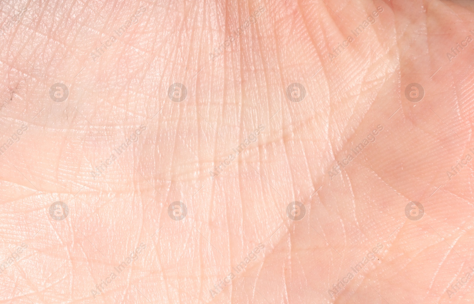 Human skin, closeup view. Detailed texture of surface Photo of Human skin, closeup view. Detailed texture of surface
