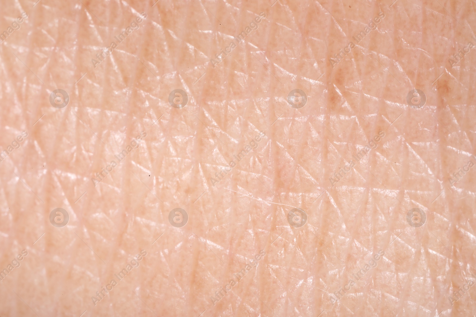 Human skin, closeup view. Detailed texture of surface Photo of Human skin, closeup view. Detailed texture of surface