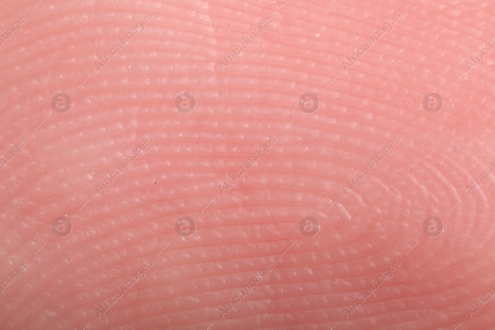 Macro view of finger skin with friction ridges Photo of Macro view of finger skin with friction ridges