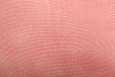 Photo of Macro view of finger skin with friction ridges