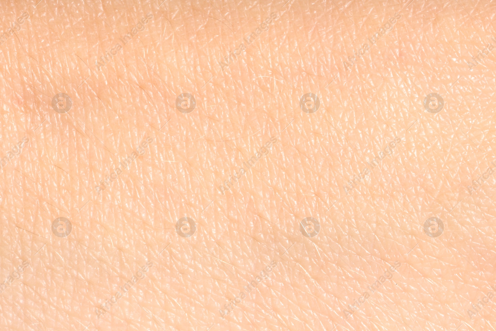 Human skin, closeup view. Detailed texture of surface Photo of Human skin, closeup view. Detailed texture of surface