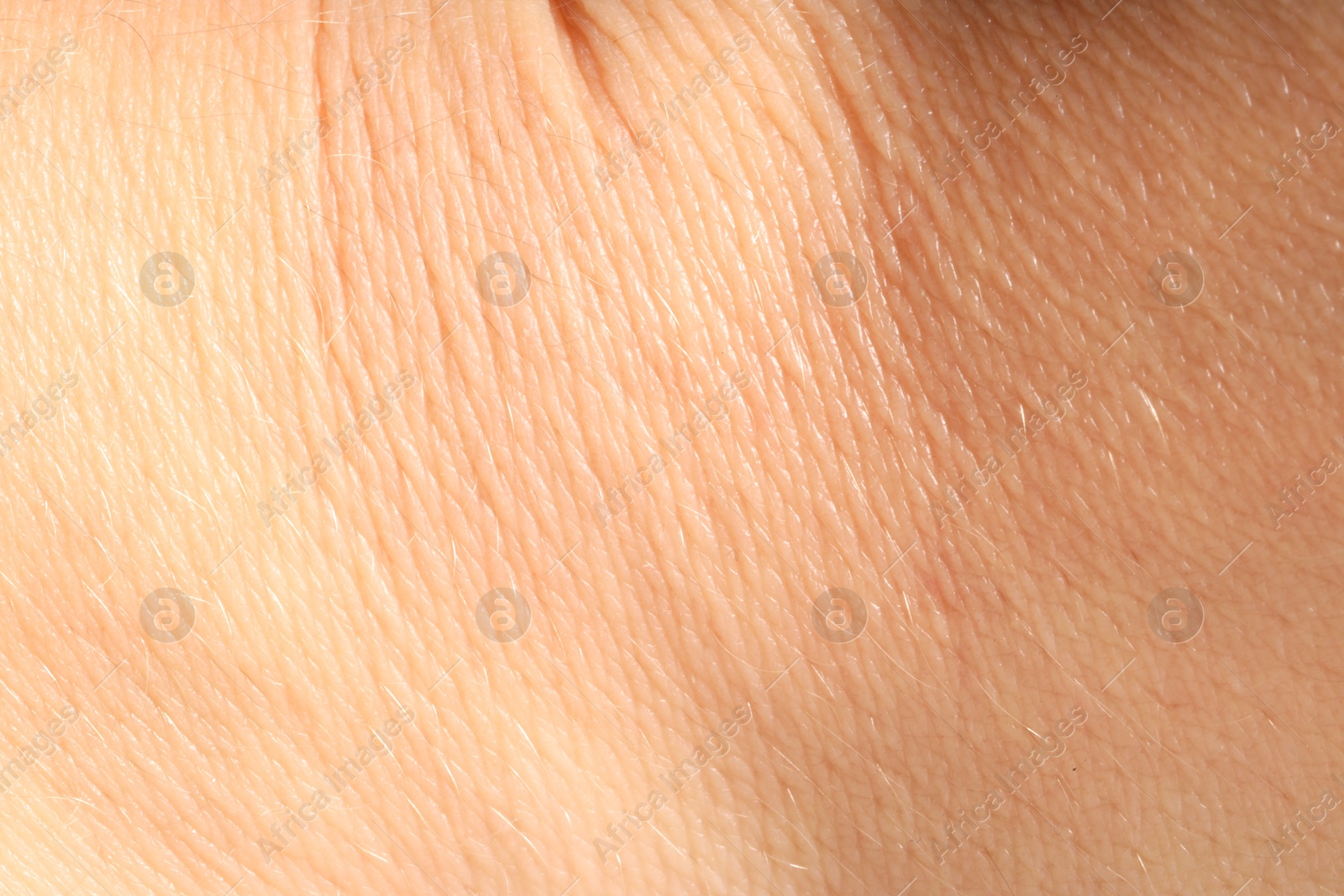 Human skin, closeup view. Detailed texture of surface Photo of Human skin, closeup view. Detailed texture of surface