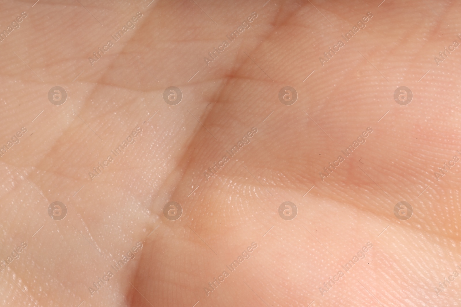 Human skin, closeup view. Detailed texture of surface Photo of Human skin, closeup view. Detailed texture of surface