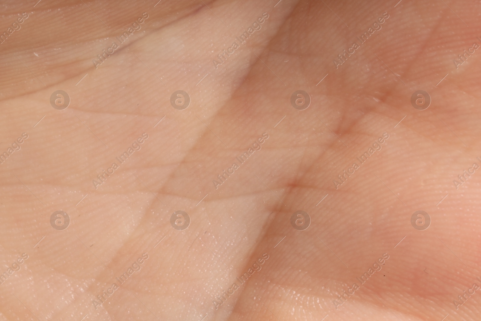 Human skin, closeup view. Detailed texture of surface Photo of Human skin, closeup view. Detailed texture of surface