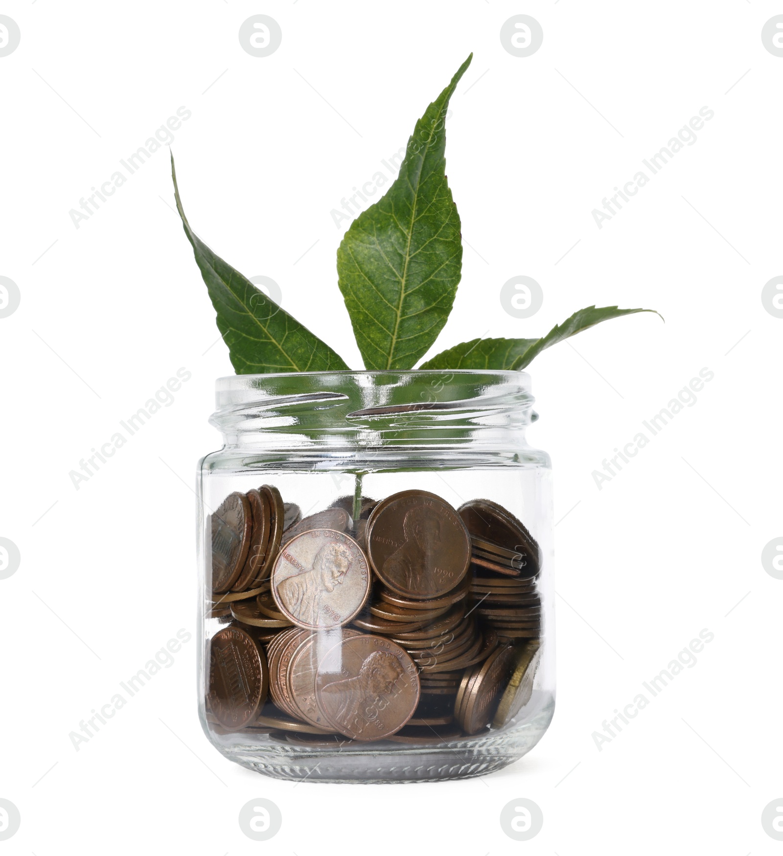 Photo of Glass jar with coins and sprout isolated on white