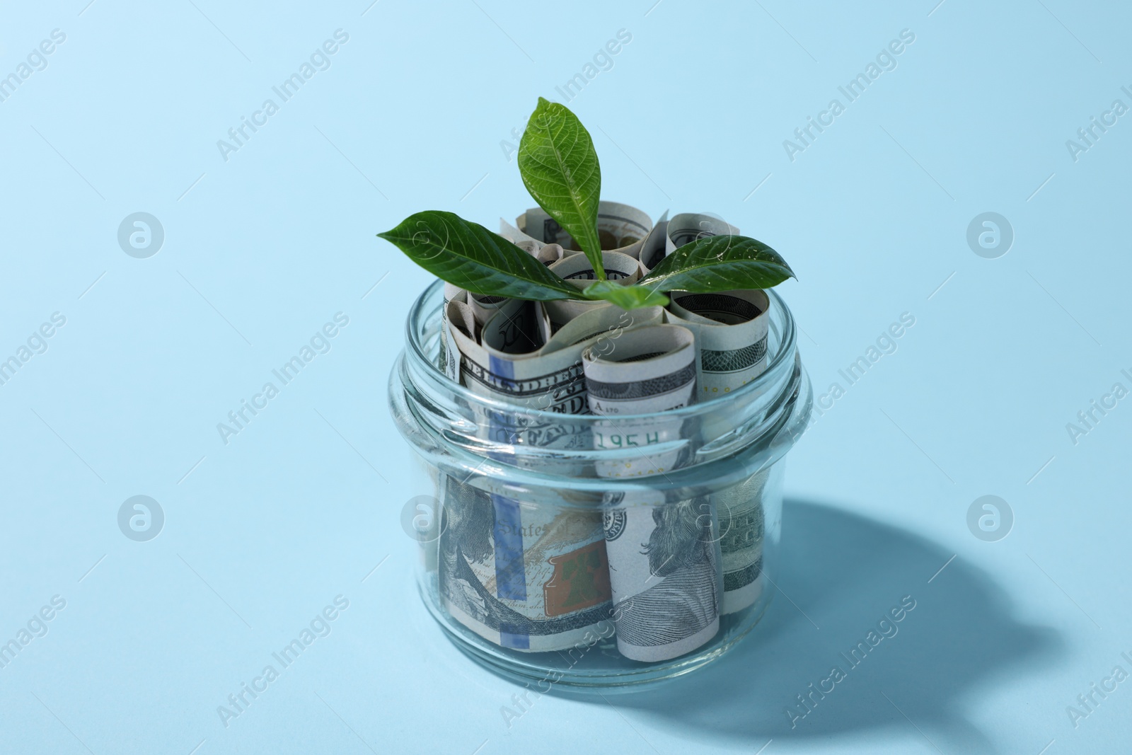 Photo of Glass jar with dollars and sprout on light blue background, closeup