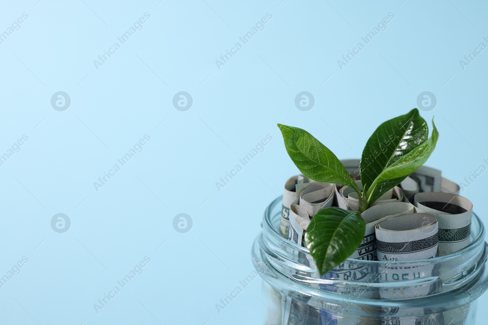 Photo of Glass jar with dollars and sprout on light blue background, closeup. Space for text