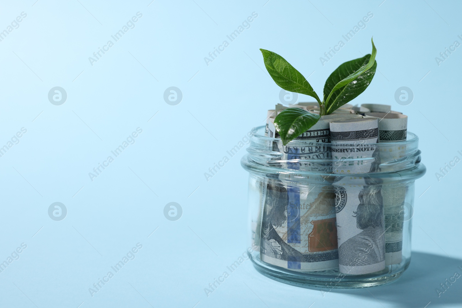 Photo of Glass jar with dollars and sprout on light blue background, closeup. Space for text