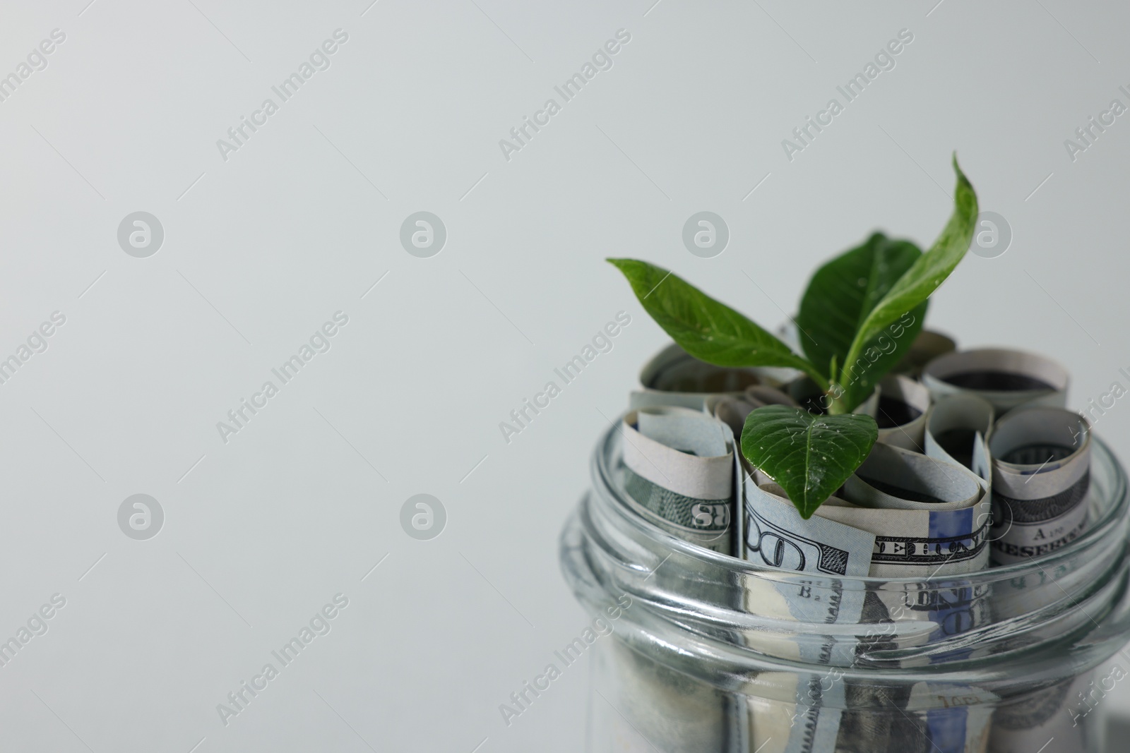 Photo of Glass jar with dollars and sprout on light grey background, closeup. Space for text