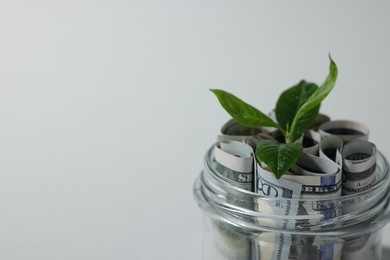 Photo of Glass jar with dollars and sprout on light grey background, closeup. Space for text