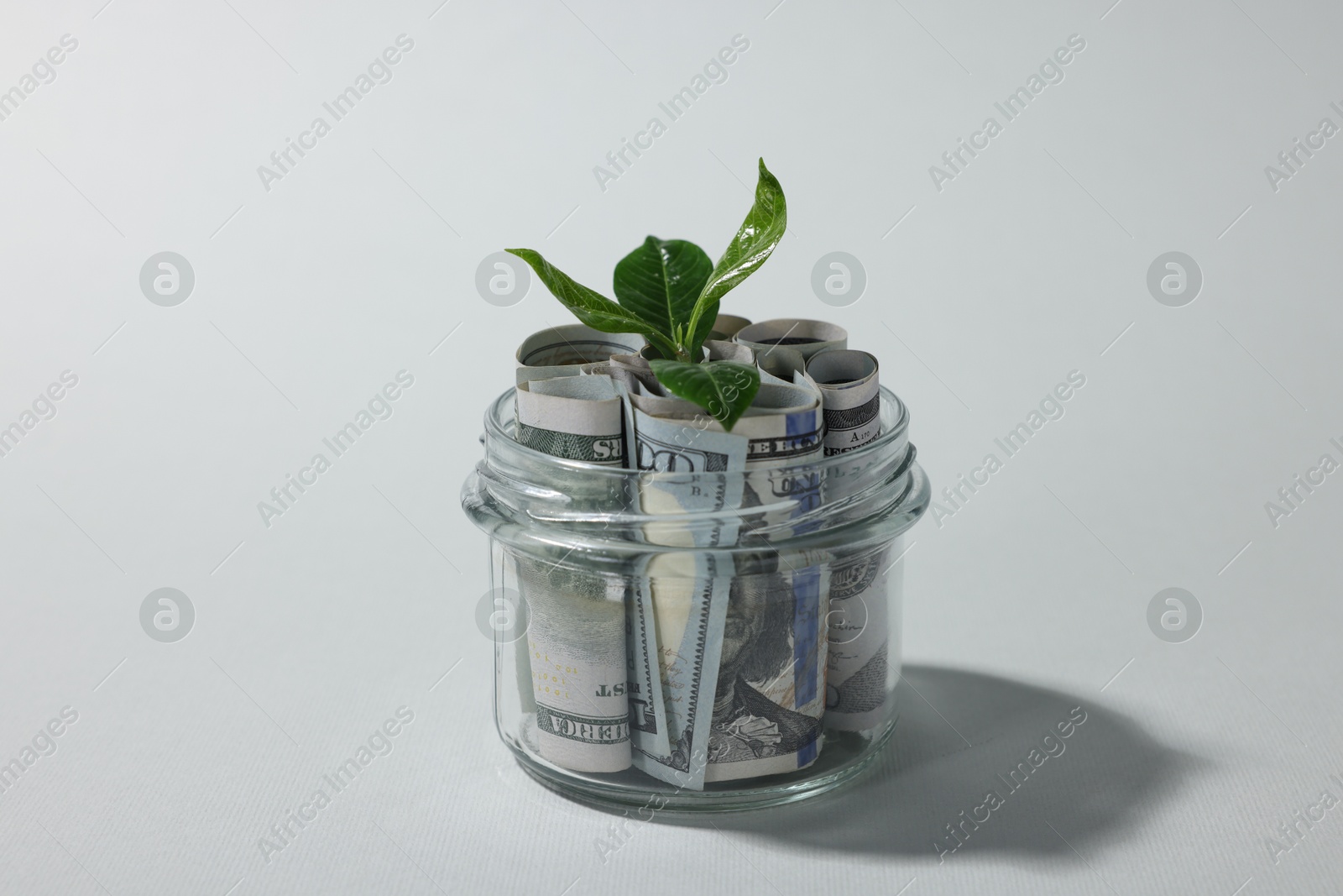 Photo of Glass jar with dollars and sprout on light grey background, closeup