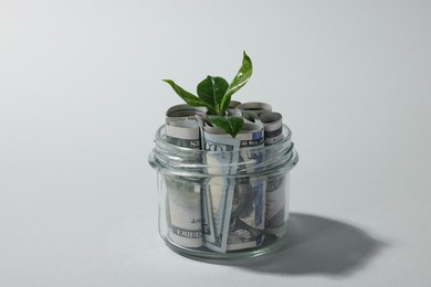 Photo of Glass jar with dollars and sprout on light grey background, closeup