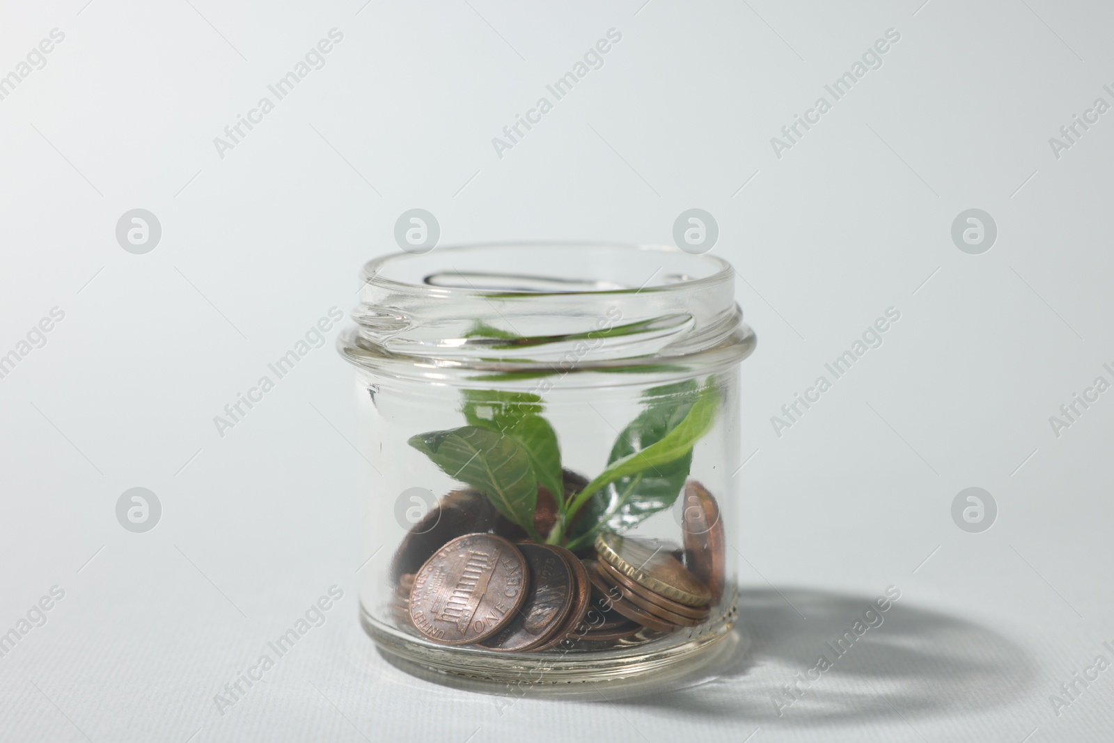 Photo of Glass jar with coins and sprout on light grey background, closeup