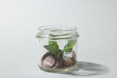 Photo of Glass jar with coins and sprout on light grey background, closeup