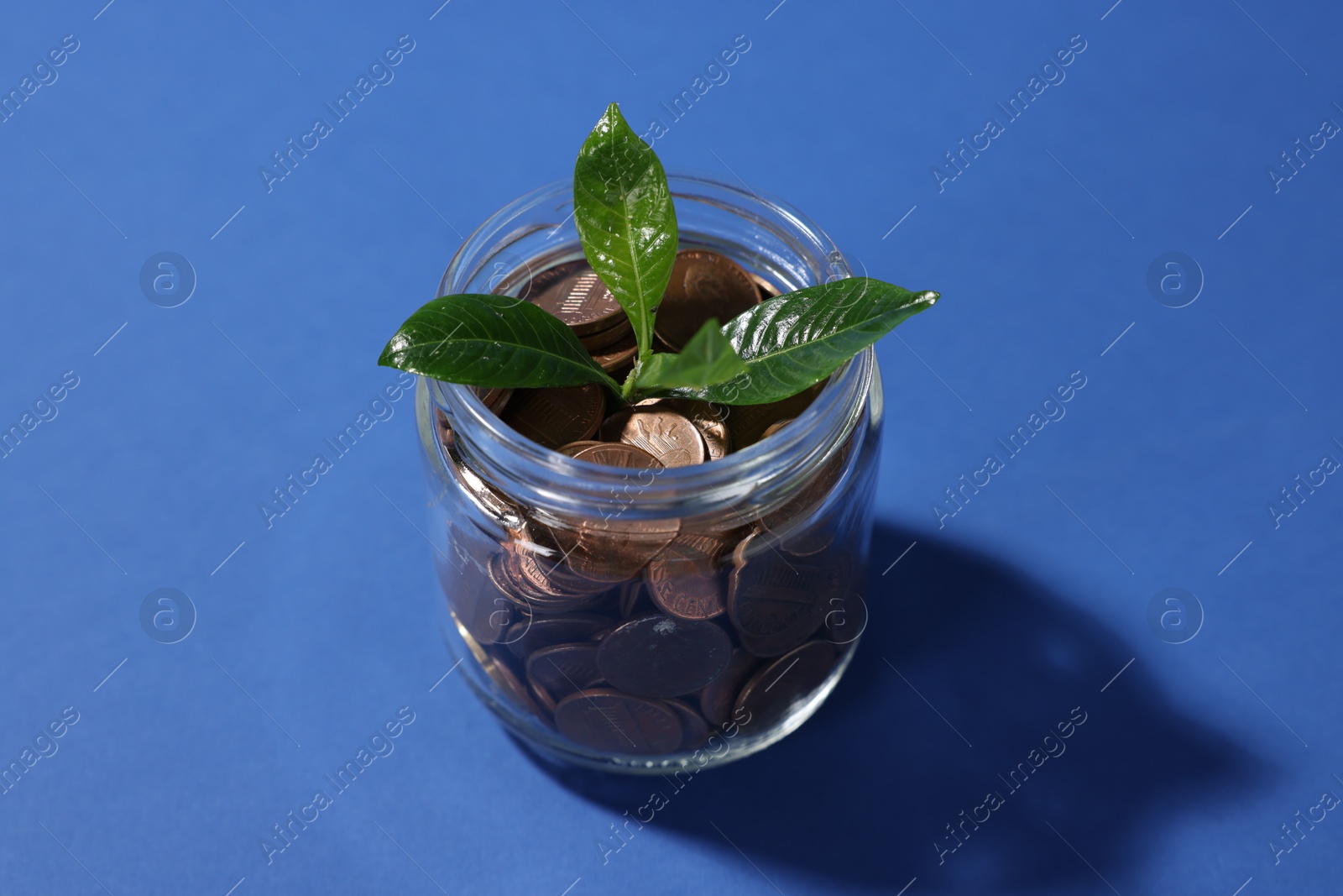 Photo of Glass jar with coins and sprout on blue background, closeup