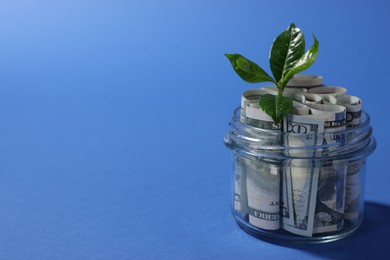 Photo of Glass jar with dollars and sprout on blue background, closeup. Space for text