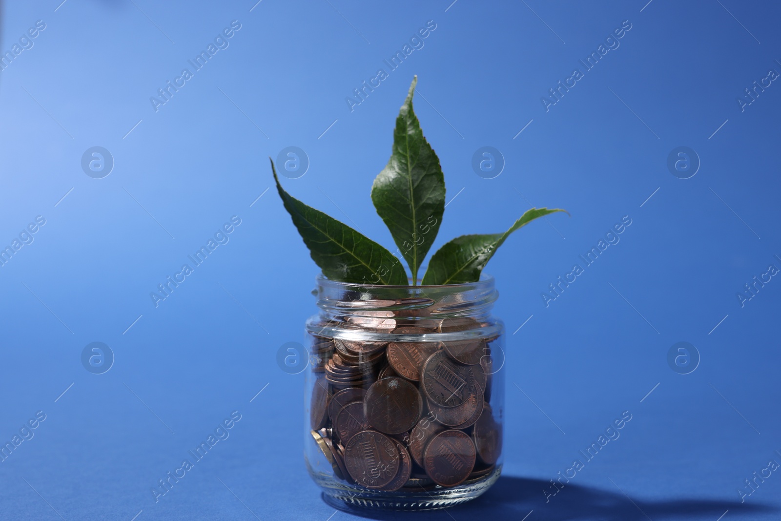 Glass jar with coins and sprout on blue background, closeup Photo of Glass jar with coins and sprout on blue background, closeup