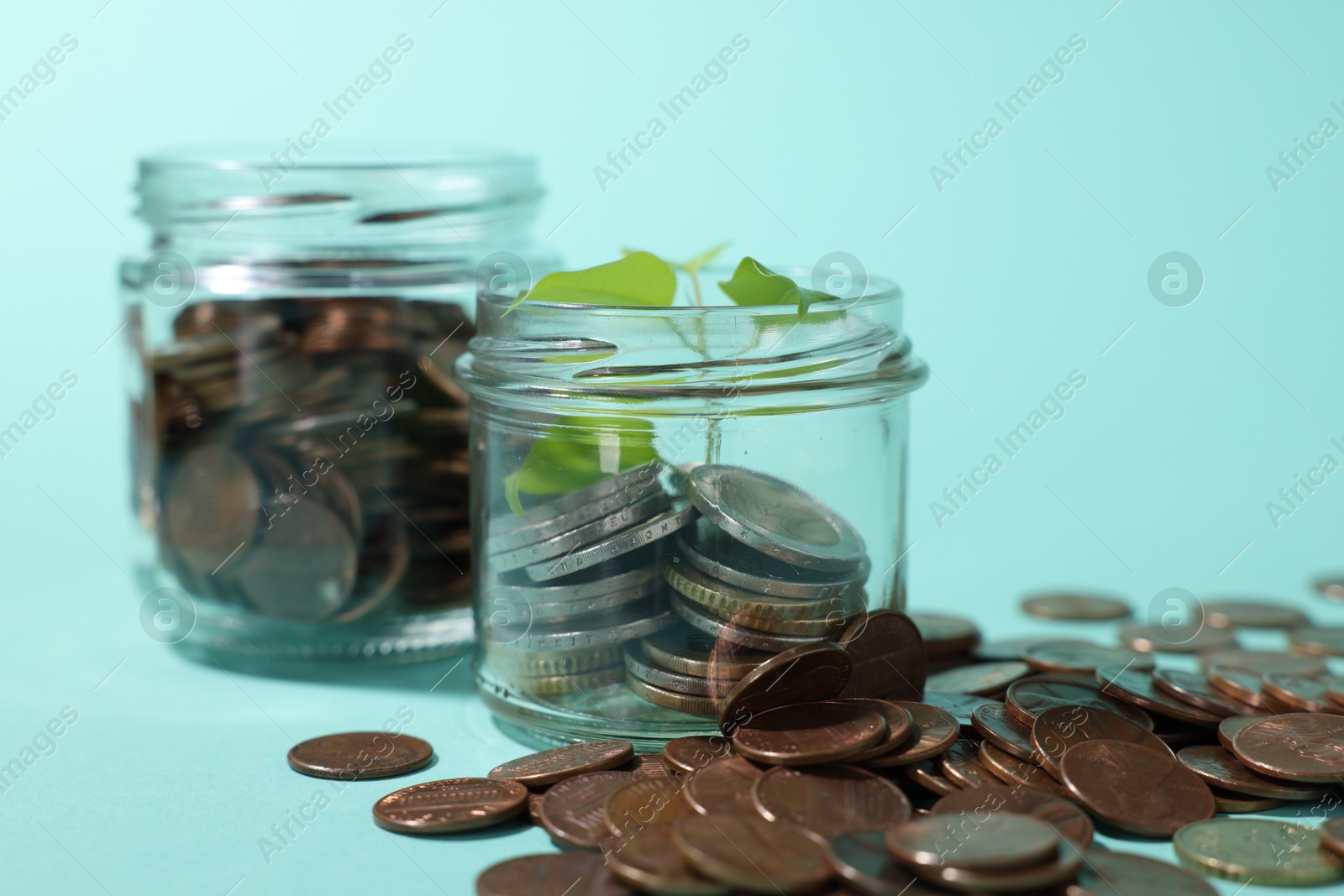 Photo of Glass jars with coins and sprout on light blue background, closeup