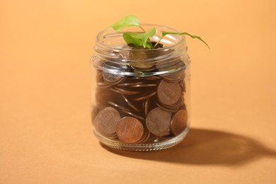 Photo of Glass jar with coins and sprout on pale orange background, closeup