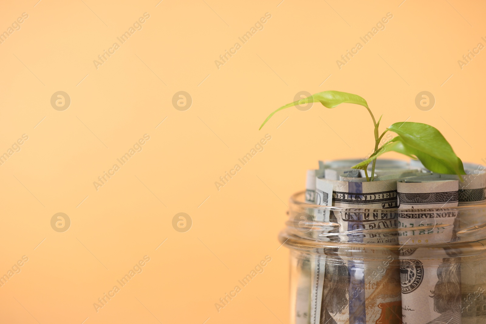 Photo of Glass jar with dollars and sprout on pale orange background, closeup. Space for text