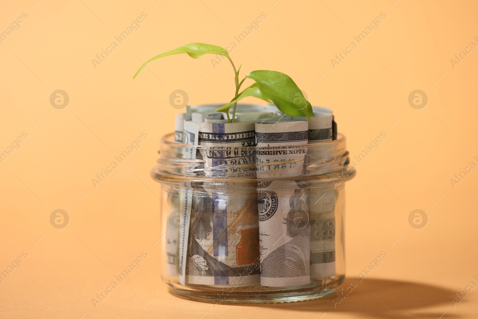 Photo of Glass jar with dollars and sprout on pale orange background, closeup