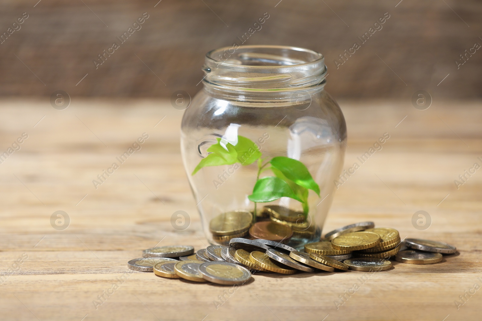 Photo of Glass jar with coins and sprout on wooden table, closeup