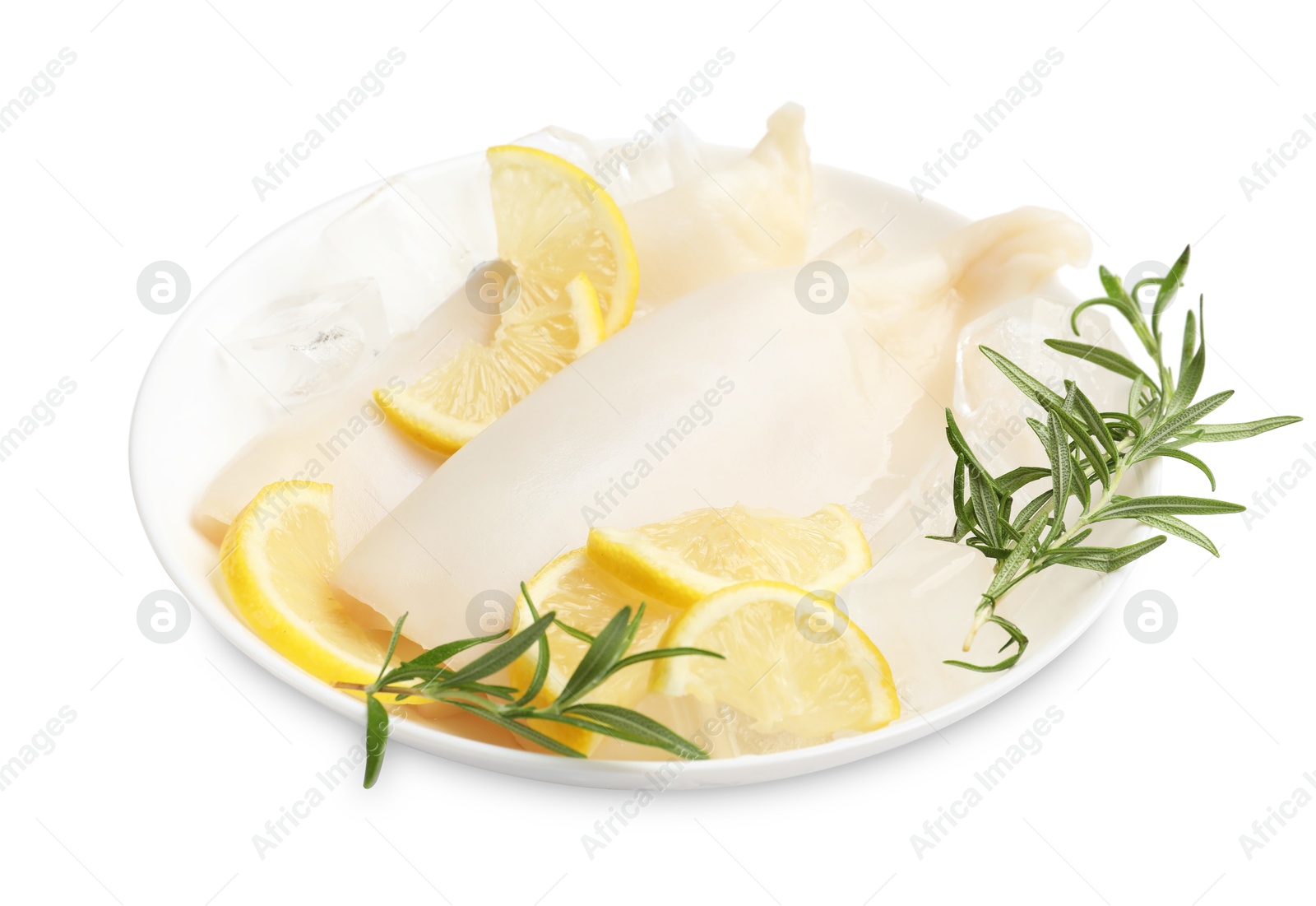 Photo of Pieces of raw squids with ice cubes, rosemary and lemon isolated on white