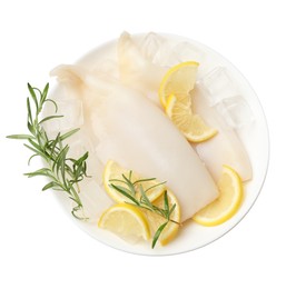 Photo of Pieces of raw squids with ice cubes, rosemary and lemon isolated on white, top view