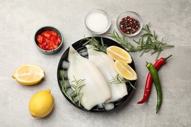 Photo of Pieces of raw squids with ice cubes, lemon, rosemary, spices and products on grey textured table, flat lay