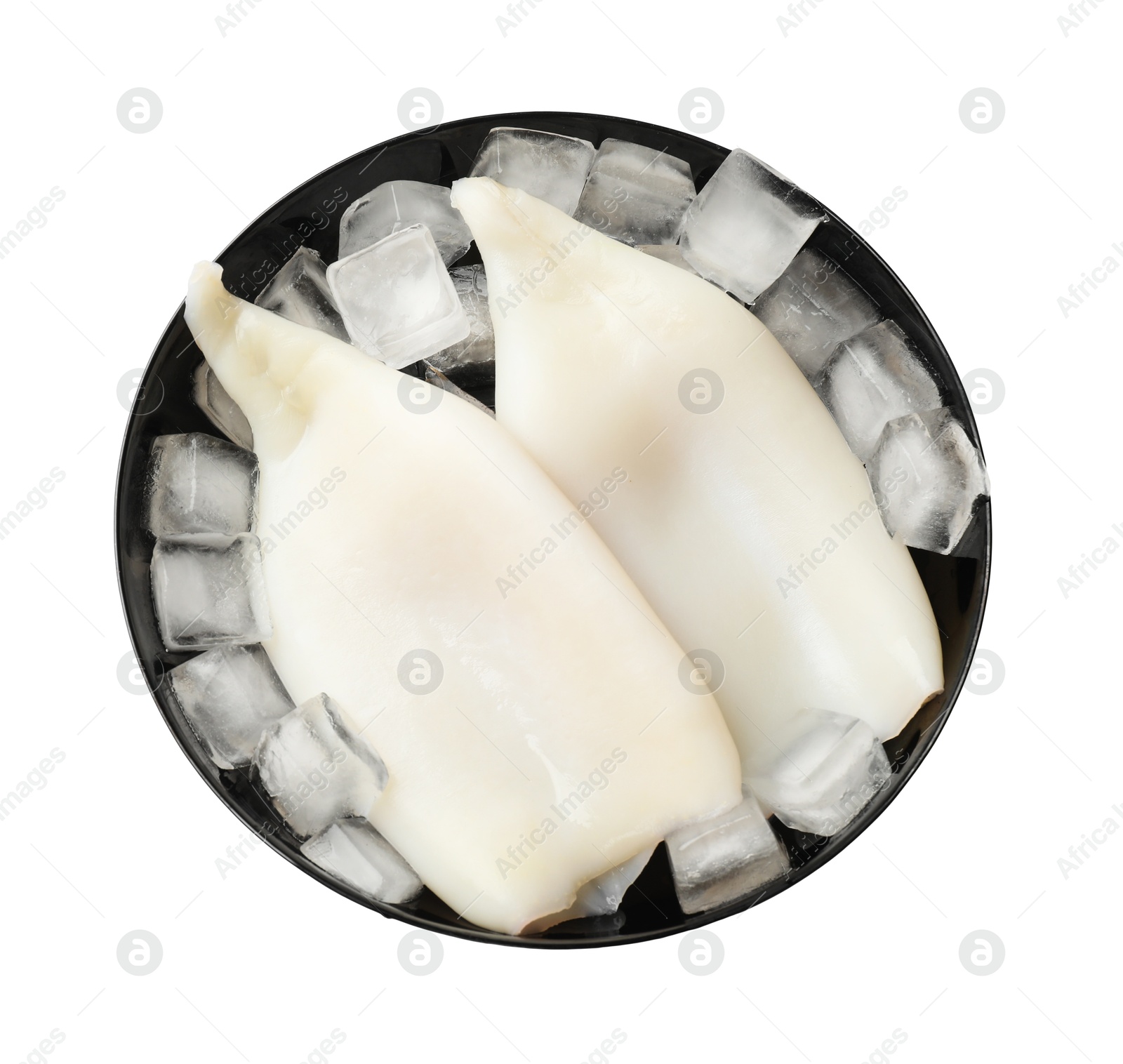 Photo of Pieces of raw squids with ice cubes isolated on white, top view