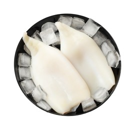 Photo of Pieces of raw squids with ice cubes isolated on white, top view