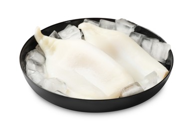 Photo of Pieces of raw squids with ice cubes isolated on white