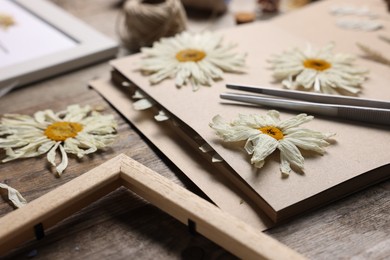 Photo of Dry chamomile flowers, notebook and tweezers on wooden table, closeup