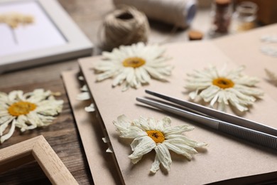 Photo of Dry chamomile flowers, notebook and tweezers on wooden table, closeup