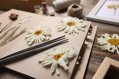 Photo of Dry chamomile flowers, notebook and tweezers on wooden table, closeup