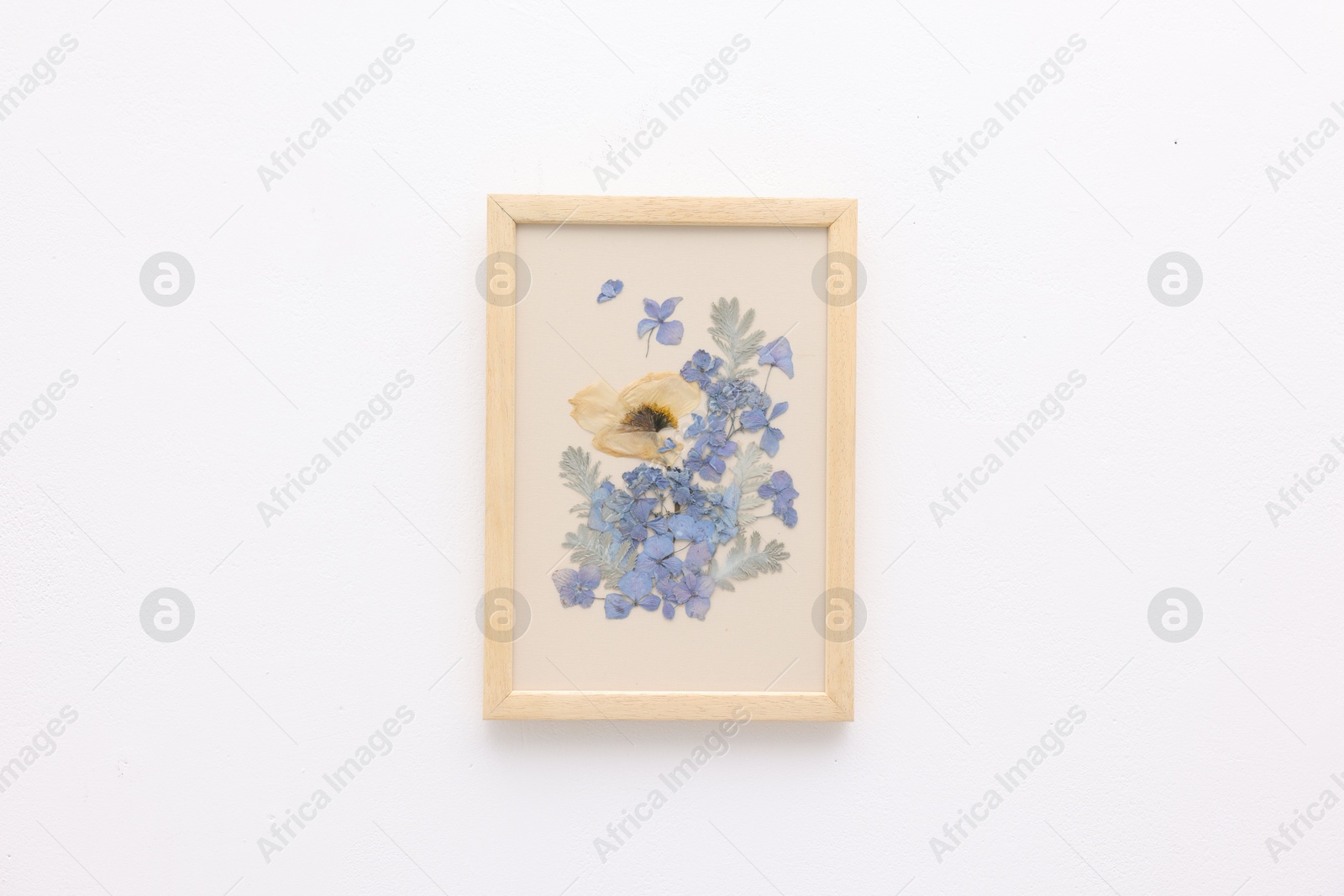 Beautiful dry flowers and leaves in picture frame on white wall Photo of Beautiful dry flowers and leaves in picture frame on white wall